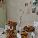 하프베이크드 | 강릉 교동 유럽감성 카페 하프베이크드 주차 메뉴종류 내부 후기까지