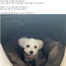 대략 200만원 이상 들여 구매했습니다 130만원에 드립니다 이미지