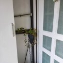 하얀둥지도브펜션 이미지