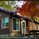 유명산자연휴양림 이미지