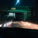 에코의 서재 이미지