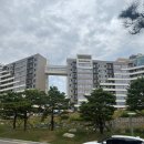 골프존파크 모전 아일랜드 | 강원도 속초 고성ㅣ소노펠리체 델피노 : 가족여행숙소 추천 로얄스위트룸 파노라마뷰 후기