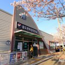 광도면 죽림이동민원실 이미지