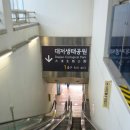 지하철강서구청역 | 부산 대저생태공원 유채꽃축제 방문후기