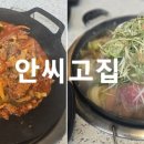 안씨고집 이미지