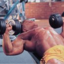 인클라인 덤벨 프레스 (Incline Dumbbell Press) 이미지