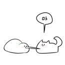 둔산공주칼국수