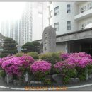 은혜병원 이미지