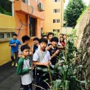 초읍초등학교 이미지