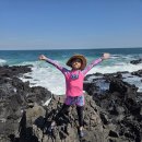 터닝포인트제주 이미지