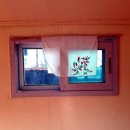 아모르민박 이미지