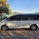 팅커벨의 향후 10년 마스터플랜과 가엾은 유기견묘들의 생명 구조를 책임질 뉴 붕붕이. 이미지