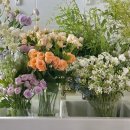 봄의 플로라 이미지