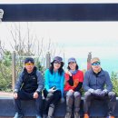 명사의해변 Daum카페