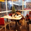 푸드앤프랜드 이미지