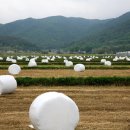 (주)크린환경 이미지