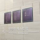 도브(Dove)호텔 | 평창 홀리데이 인 리조트 호텔 후기 🏨｜인터컨티넨탈 알펜시아와 비교｜28개월 아기와 가족여행 숙소 추천