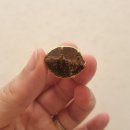 따뜻할온한의원 이미지