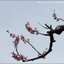 삼단지농장 이미지