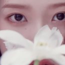 (주)넥스트스테이지 이미지