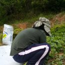 풍경민박 이미지