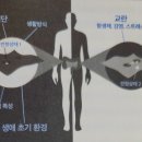 세컨드 브레인