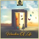 ER-1252 Wonders Of Life 앨범 전곡 - Dominique Ehrenbaum 이미지