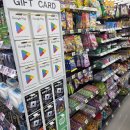 영재유치원 이미지