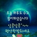 피우리라 Daum카페