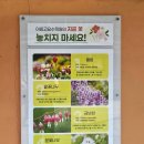경춘열차 | 봄꽃 아침고요수목원 가평 입장료 주차팁