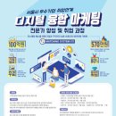 하이빅서울