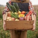 기준농장 이미지