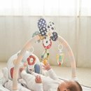 자연체육관 이미지