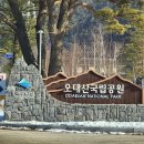 상원사 동종 | 강원 평창 오대산 월정사와 상원사 전경 스케치 후기! [이춘근 대관령여행 티스토리 1,113회]