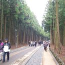 성심농원식당 | 2003 전체교수연수기행(2003.12.12-13:제주도)