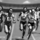 오늘의 경주 이미지