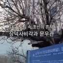 상덕 | 『상덕사비각』 대구 근대골목투어의 조용한 역사산책