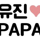 소중파파 이미지