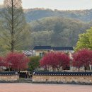 우곡보건지소 이미지