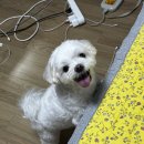 해날아파트 | 너무 밀려버린 11월…?