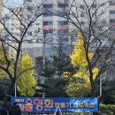 만덕3동-4 이미지