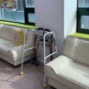 큰나무주야간보호센터 주변 | 안양 주간보호센터 추천 다양한 프로그램이 있는 푸른소나무 방문 솔직후기