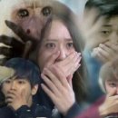 에스브로우 - 도봉구 마들로 676-1 | [하남 속눈썹 펌] 미사 눈썹 에스 터치 브로우 속눈썹 펌 인형 속눈썹 된 후기