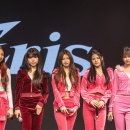 올컨텐츠그룹