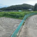 영천남부공인중개사사무소 이미지