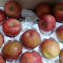 연석농장 이미지