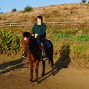 뷰 제주하늘 | 제주도 승마체험 아이랑 함께 뷰 제주하늘 말타기