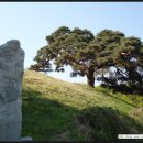 무주 사천리 지석묘 2기 이미지