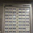 어촌 | 대전 시청역 회식 추천 맛집 '작은 어촌' 재방문 후기