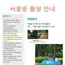 살룻 | 서울숲 야외 웨딩스냅 자연스러운 업체 추천 살룻띠아모 촬영 후기